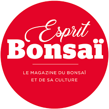 Esprit Bonsaï