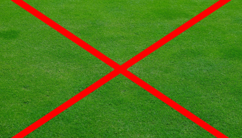 STOP au Tapis Vert !