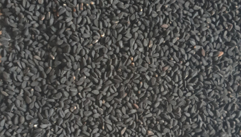 Quels sont les bienfaits de la Nigelle et de ses graines ?